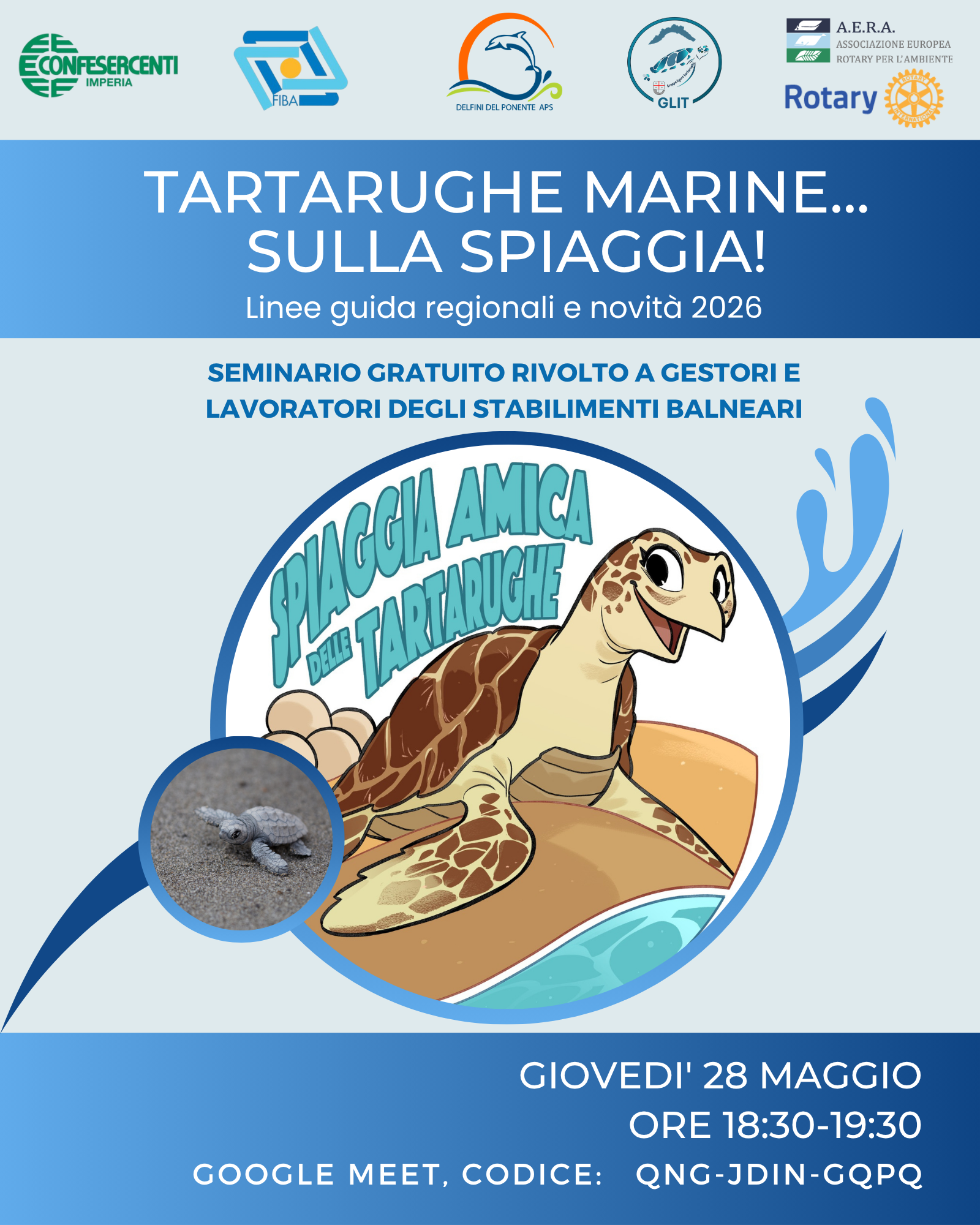 Confesercenti annuncia il nuovo seminario “Tartarughe marine… sulla spiaggia!” edizione 2026